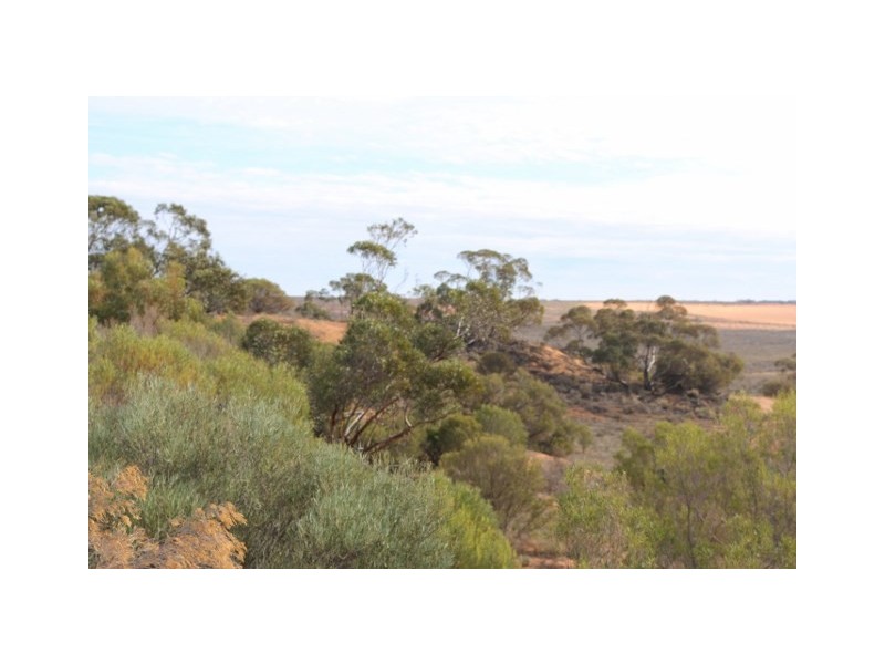 Lot 3 Twigden Road, Taylorville SA 5330