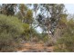 Lot 3 Twigden Road, Taylorville SA 5330