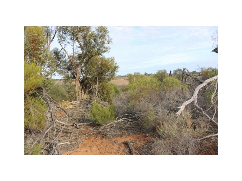 Lot 3 Twigden Road, Taylorville SA 5330