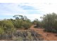 Lot 3 Twigden Road, Taylorville SA 5330