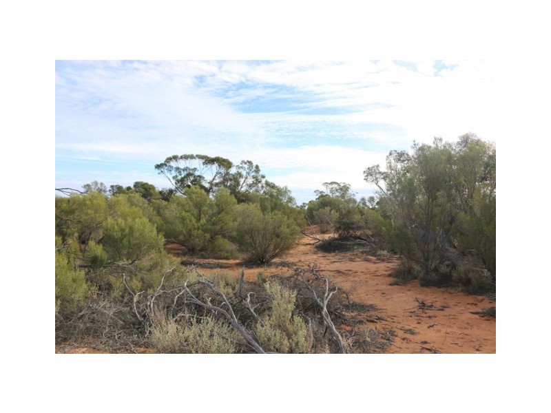Lot 3 Twigden Road, Taylorville SA 5330