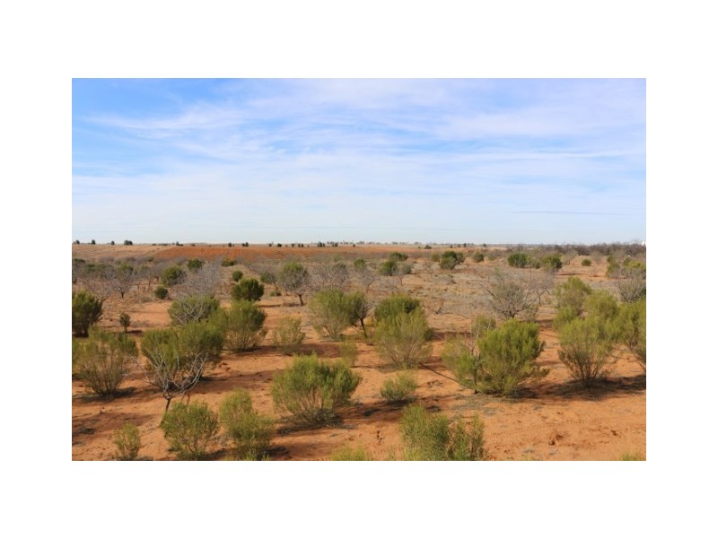 Lot 3 Twigden Road, Taylorville SA 5330