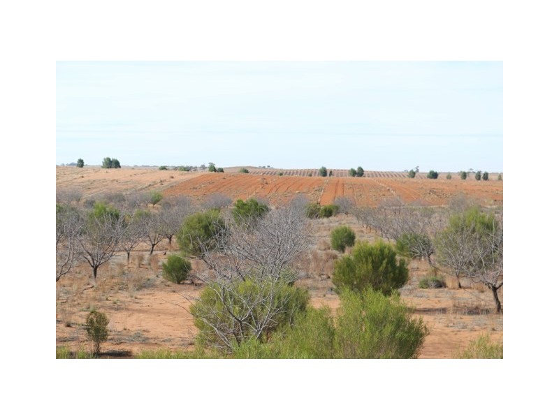 Lot 3 Twigden Road, Taylorville SA 5330