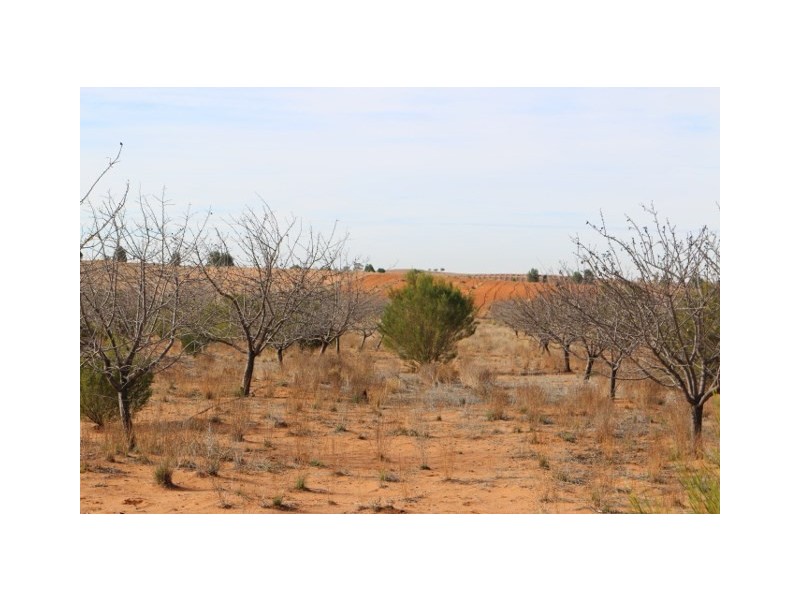 Lot 3 Twigden Road, Taylorville SA 5330