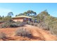 117 Schmidt Drive, Paringa SA 5340