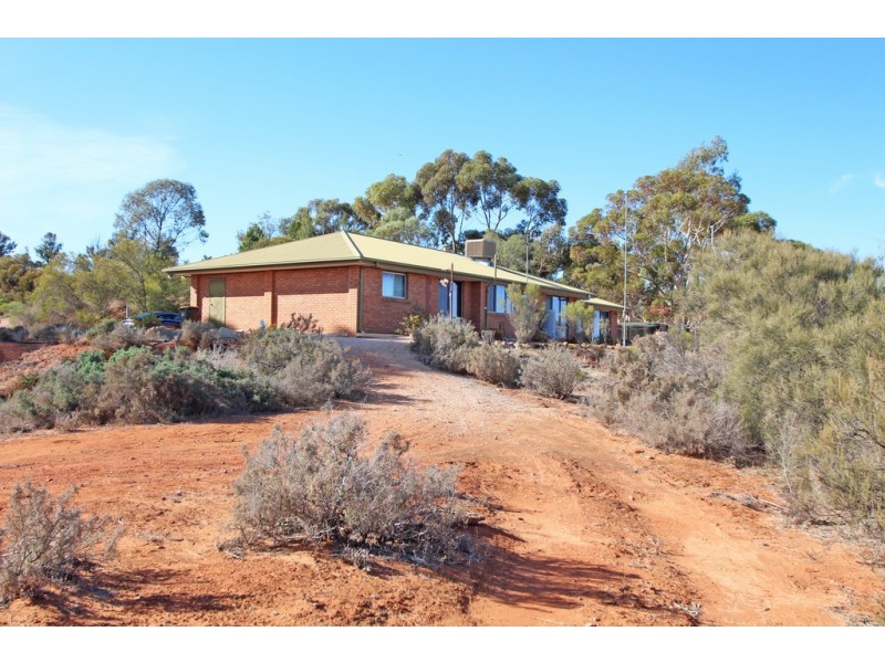 117 Schmidt Drive, Paringa SA 5340