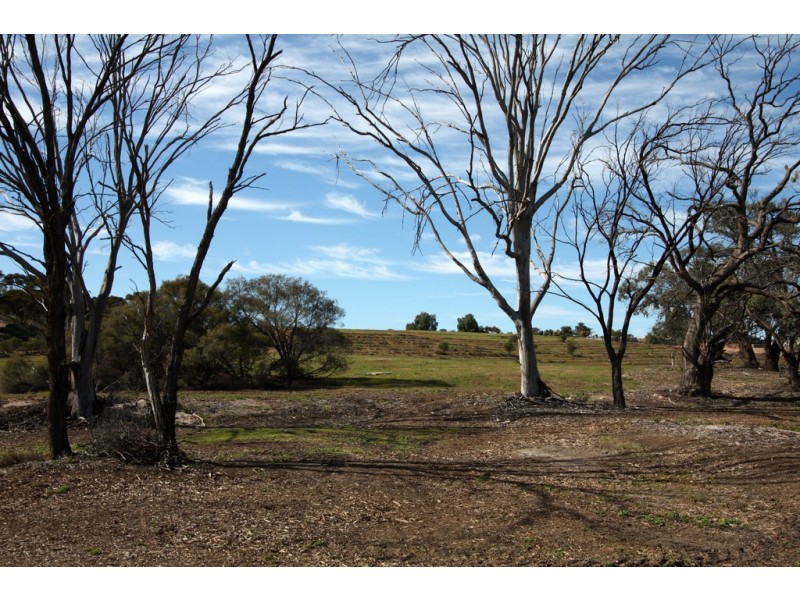 Lot 1 Nitschke Road, Loxton SA 5333