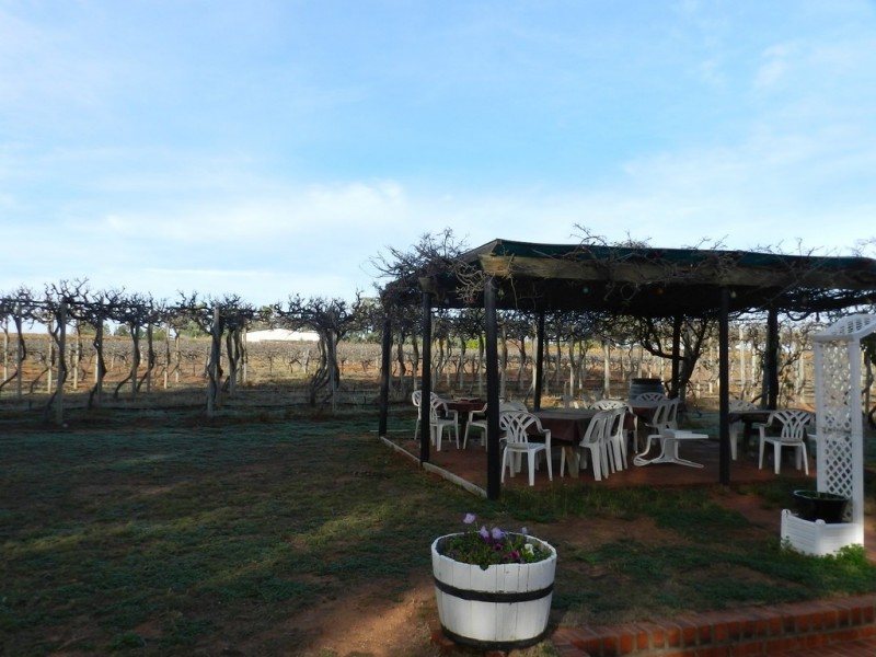 17366 Sturt Highway, Barmera SA 5345