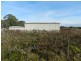 17366 Sturt Highway, Barmera SA 5345