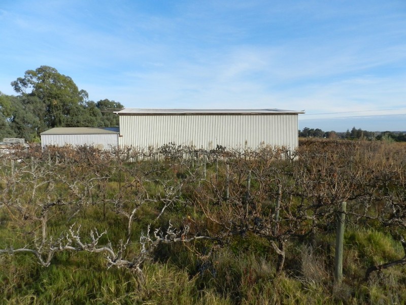 17366 Sturt Highway, Barmera SA 5345