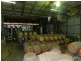 17366 Sturt Highway, Barmera SA 5345