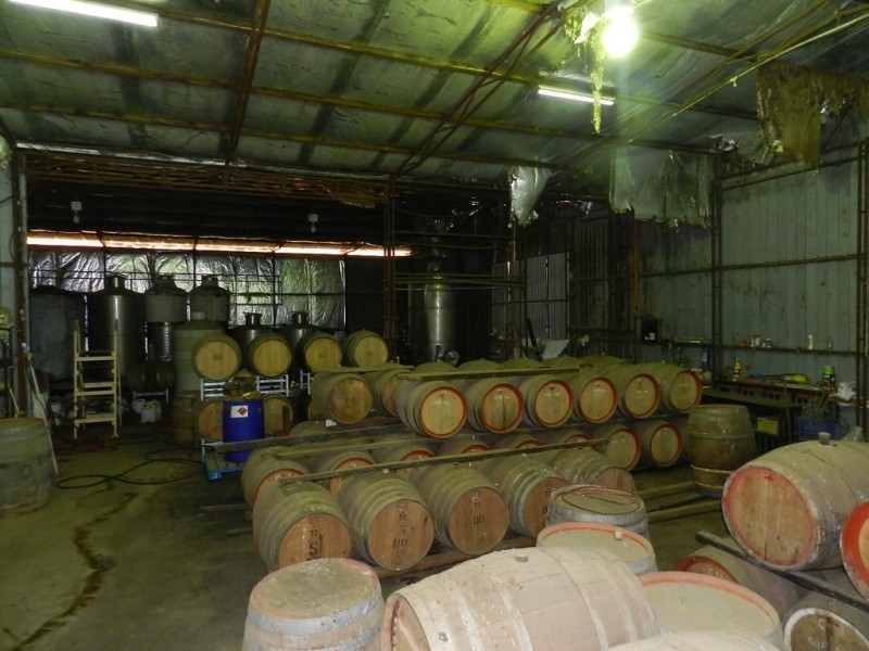 17366 Sturt Highway, Barmera SA 5345