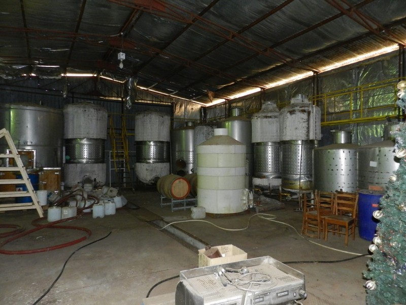 17366 Sturt Highway, Barmera SA 5345
