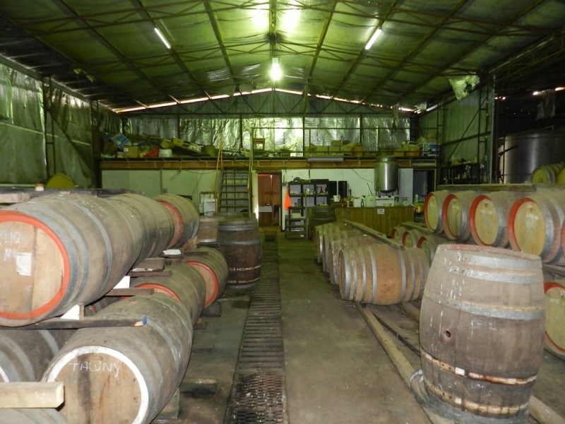 17366 Sturt Highway, Barmera SA 5345