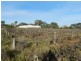 17366 Sturt Highway, Barmera SA 5345