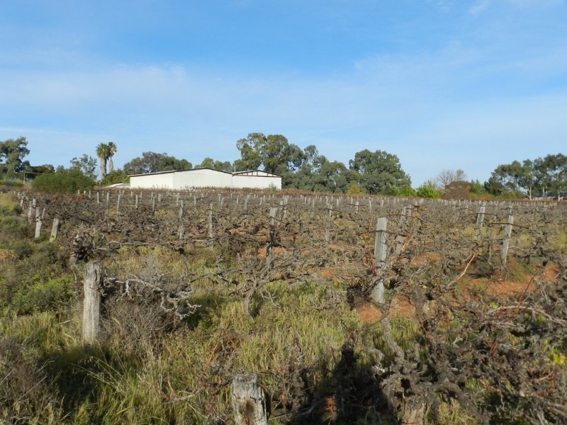 17366 Sturt Highway, Barmera SA 5345