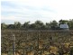 17366 Sturt Highway, Barmera SA 5345