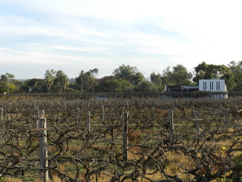 17366 Sturt Highway, Barmera SA 5345