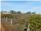 17366 Sturt Highway, Barmera SA 5345