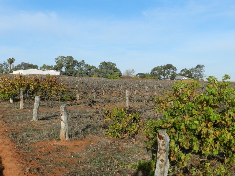 17366 Sturt Highway, Barmera SA 5345
