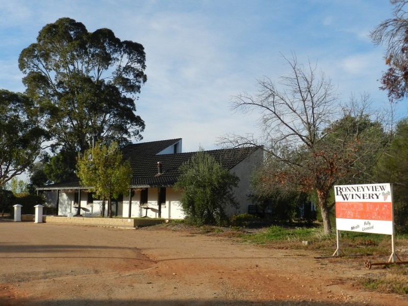 17366 Sturt Highway, Barmera SA 5345