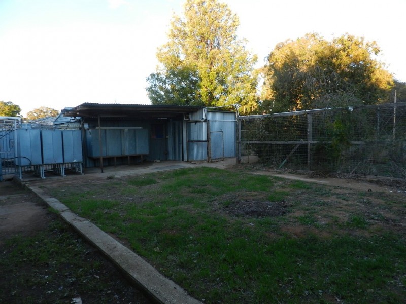 15 Bice Street, Barmera SA 5345