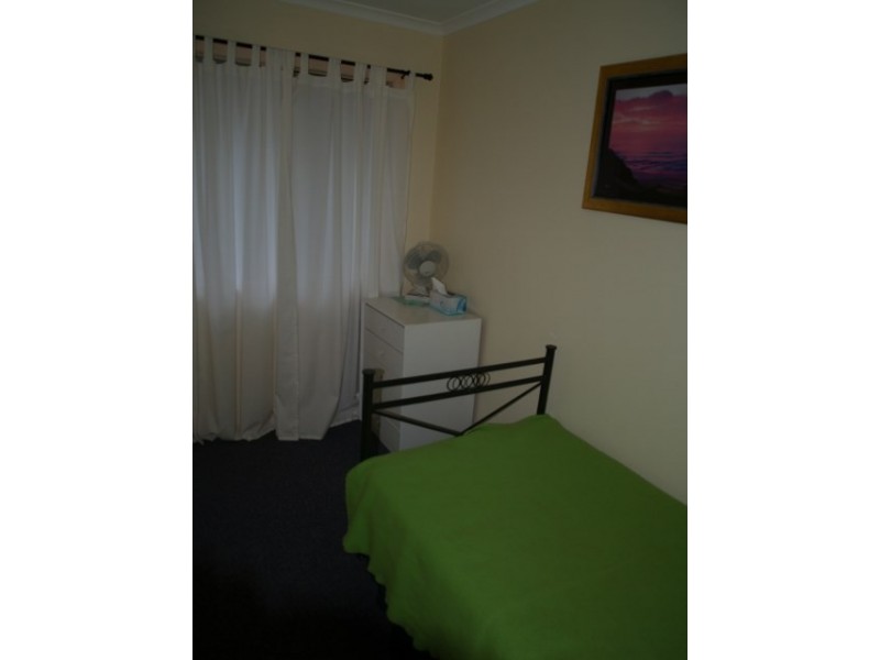 Lot 213 Scotts Creek, Shack road, Morgan SA 5320