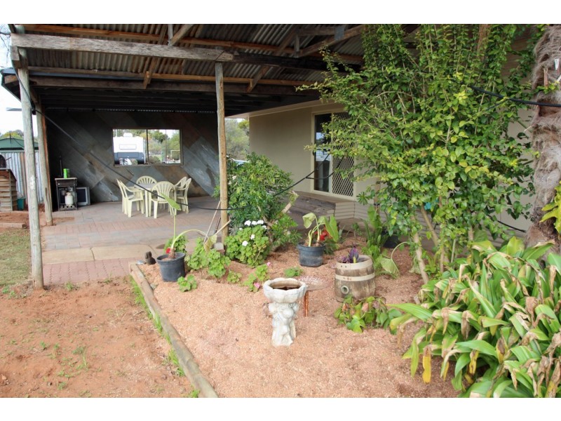 137 Tapalin Street, Renmark SA 5341