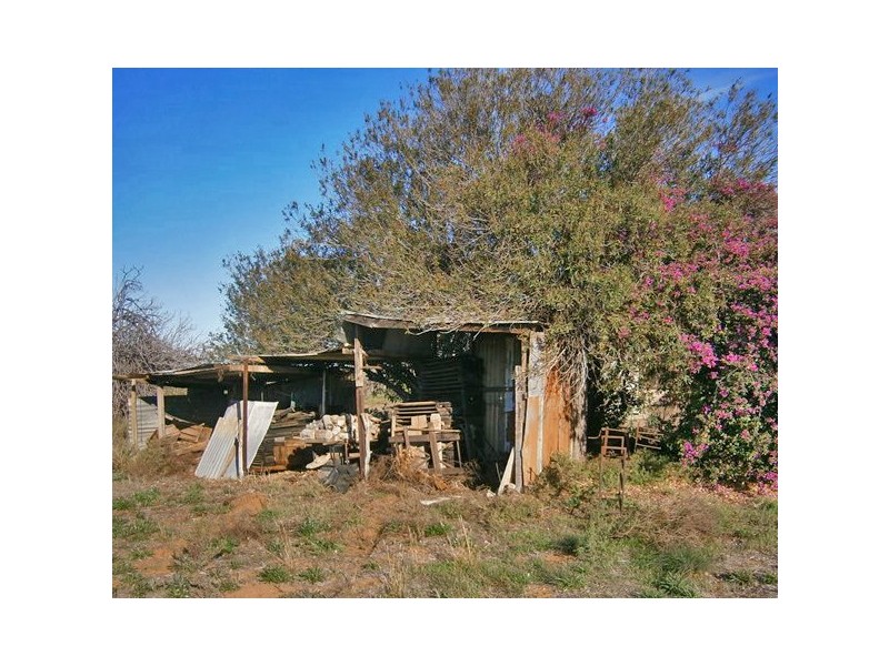 113 Ballantine Road, Waikerie SA 5330