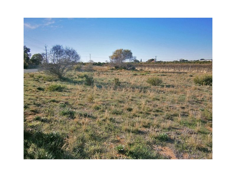 113 Ballantine Road, Waikerie SA 5330