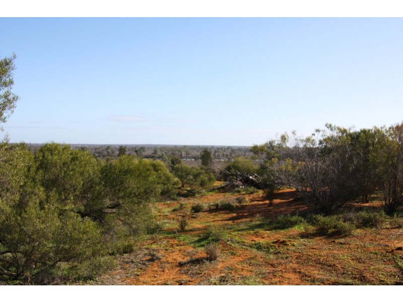 Lot 43 Wheatley Road, Loxton SA 5333