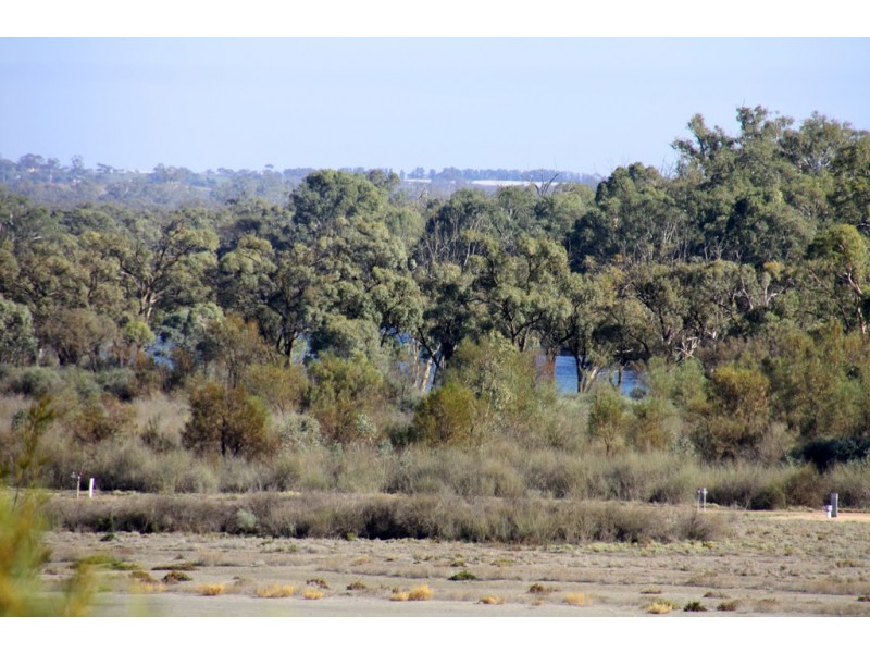 Lot 43 Wheatley Road, Loxton SA 5333