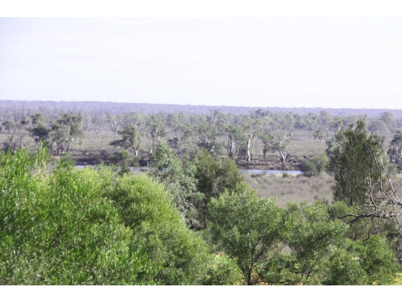 Lot 43 Wheatley Road, Loxton SA 5333