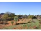 Lot 43 Wheatley Road, Loxton SA 5333