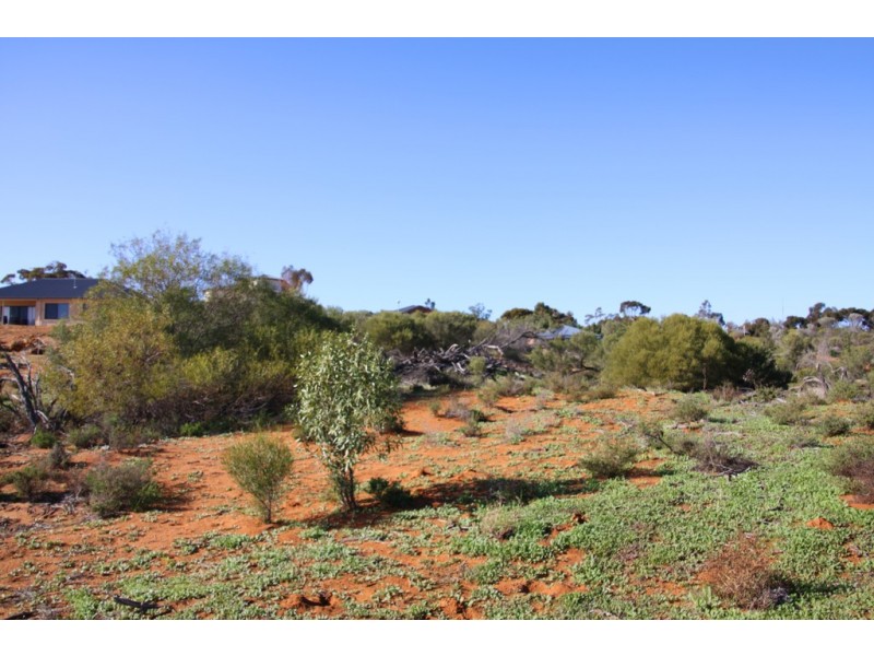 Lot 43 Wheatley Road, Loxton SA 5333