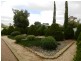 81 Derrick Street, Berri SA 5343