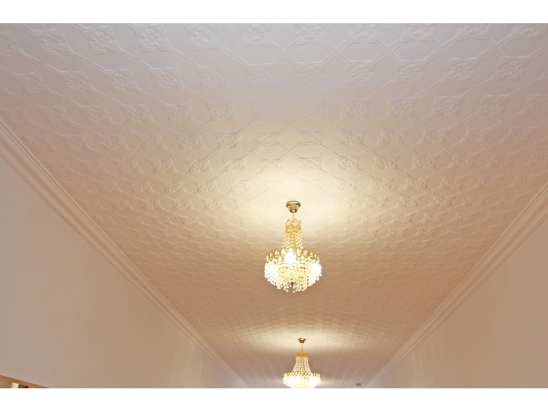 61 Crescent Street, Renmark SA 5341