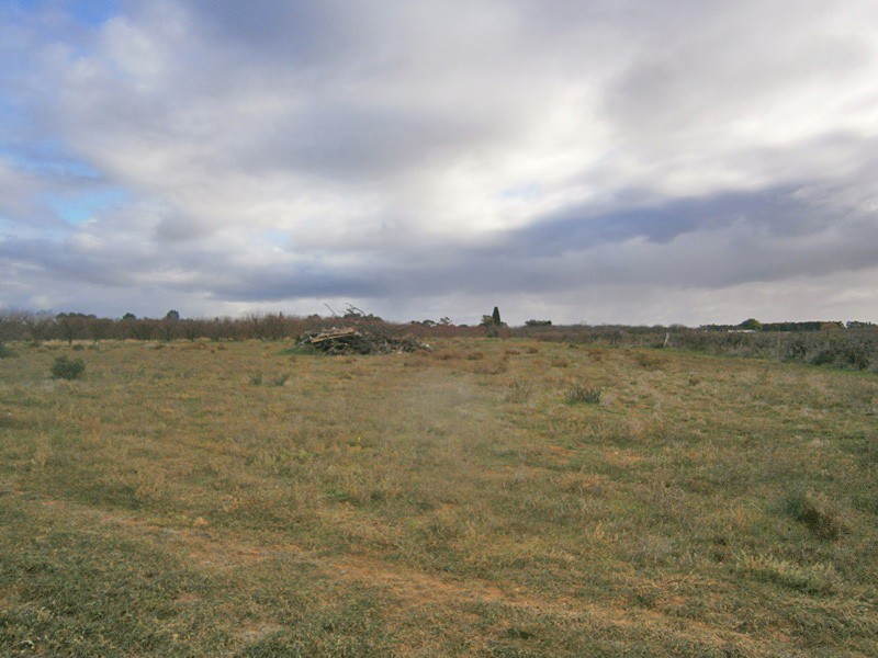 149 Vasey Road, Waikerie SA 5330