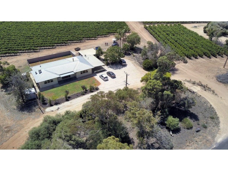 101 Gordon Road, Loxton SA 5333