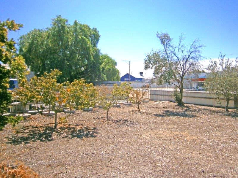 29 Fifth Street, Morgan SA 5320