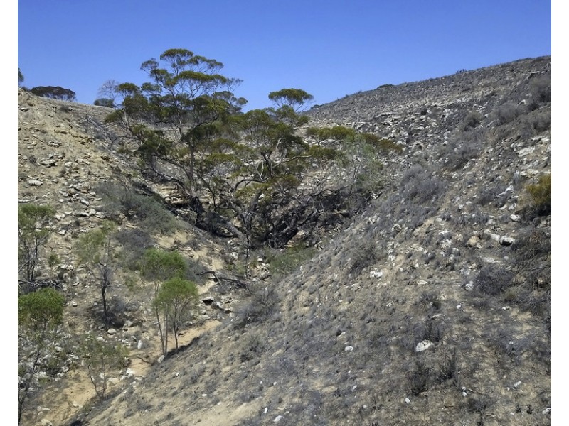 15501 Sturt Highway, Waikerie SA 5330