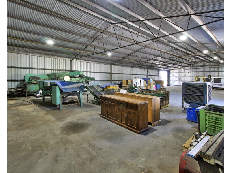 4 Mill Road, Loxton SA 5333