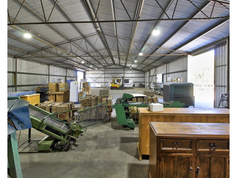 4 Mill Road, Loxton SA 5333