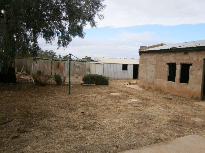 50 Baldock Road, Waikerie SA 5330