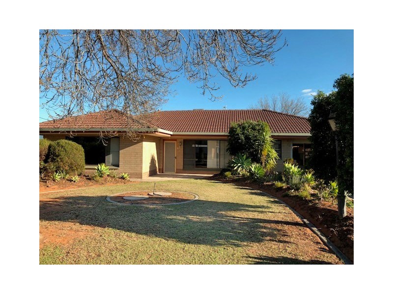 19 Story Crescent, Renmark SA 5341