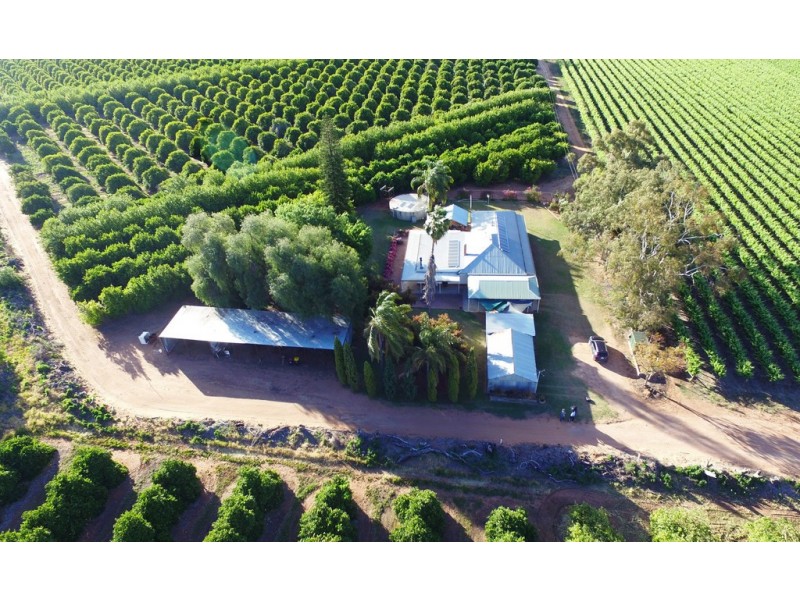 109 Old Cooltong Avenue, Renmark SA 5341