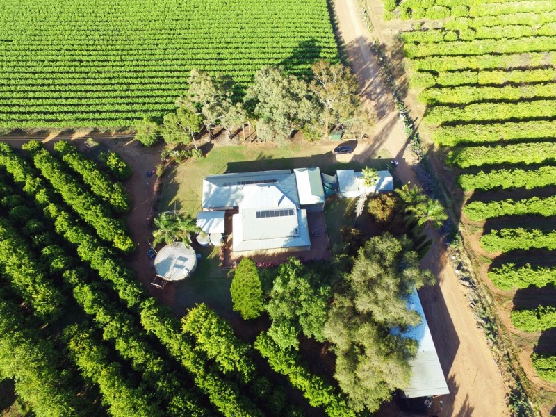 109 Old Cooltong Avenue, Renmark SA 5341