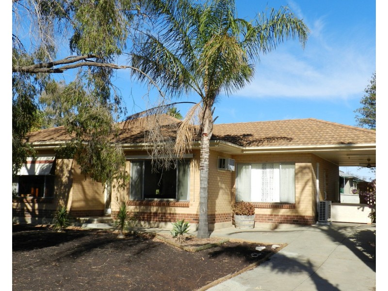 11 Hawdon Street, Barmera SA 5345