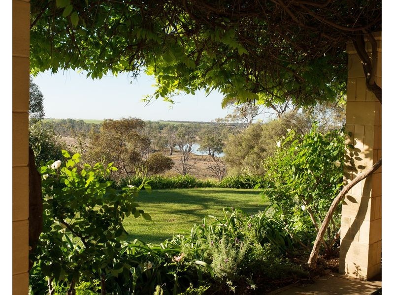 153 Riversleigh Road, Waikerie SA 5330