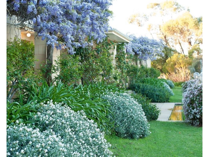 153 Riversleigh Road, Waikerie SA 5330